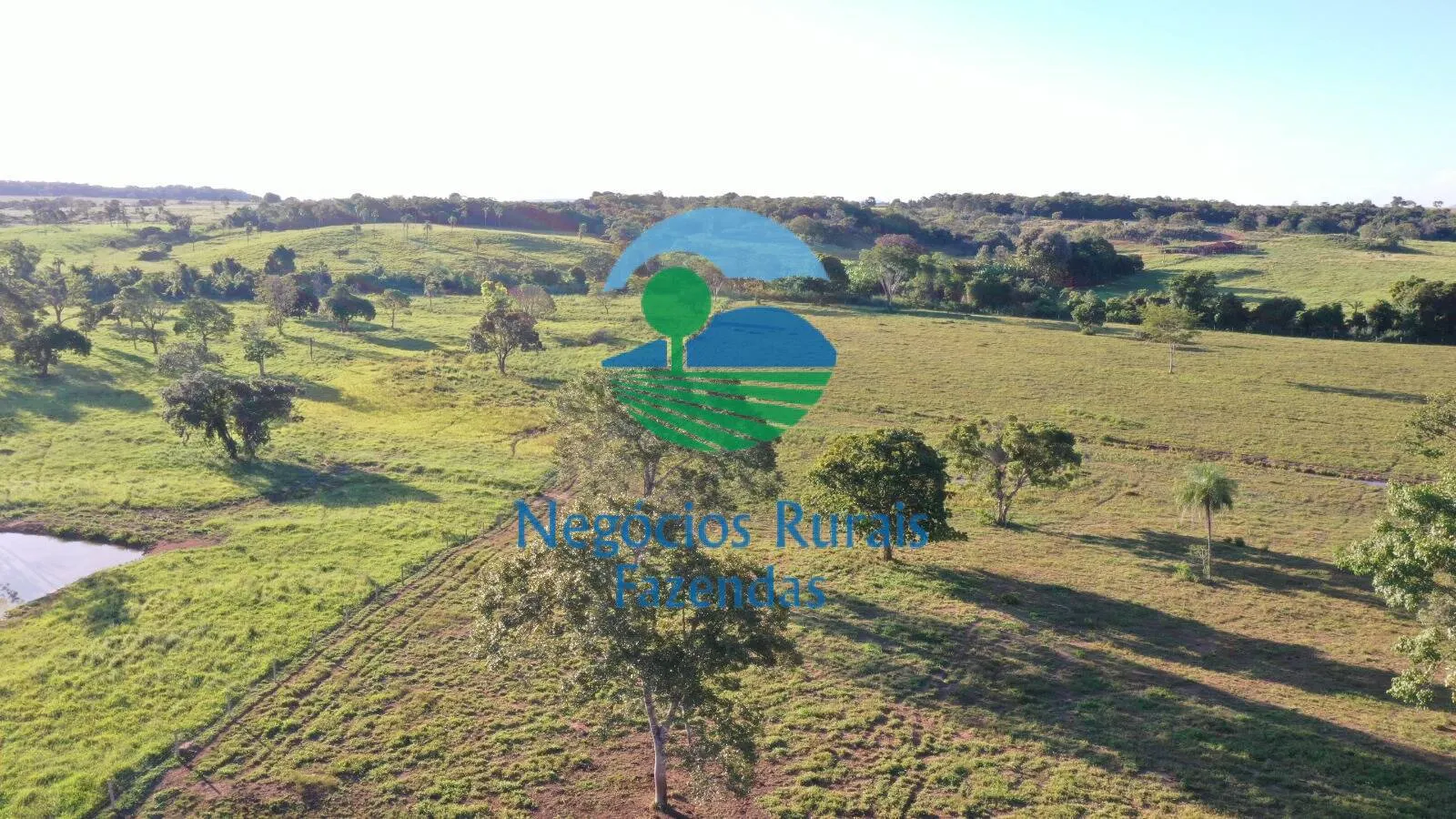Farm for sale of 1,794 acres in Mara Rosa, GO, Brazil