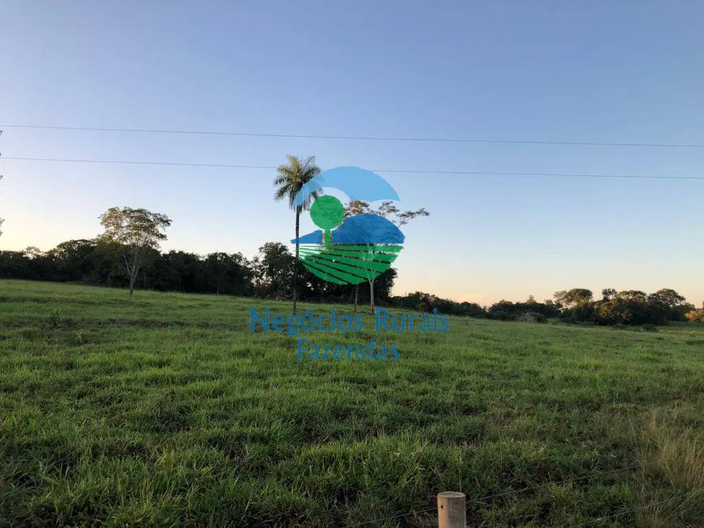 Farm for sale of 1,794 acres in Mara Rosa, GO, Brazil