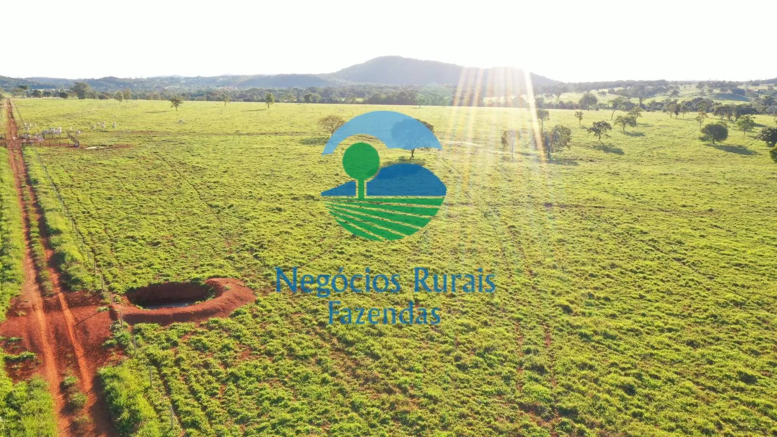 Farm for sale of 1,794 acres in Mara Rosa, GO, Brazil