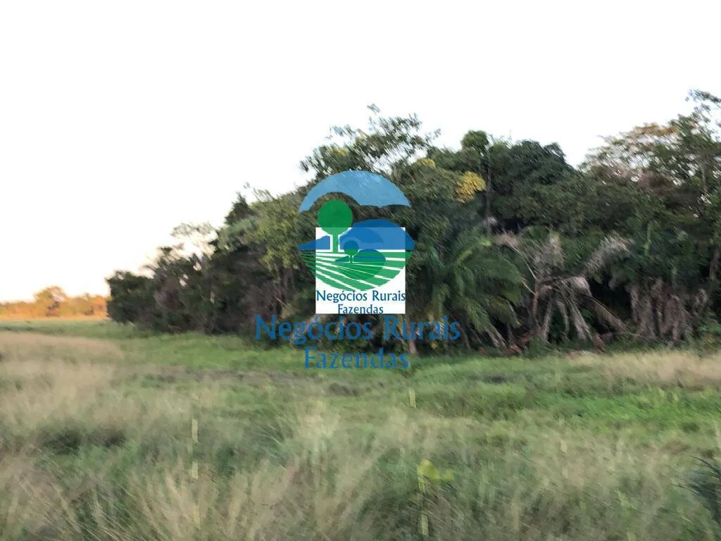 Farm for sale of 1,794 acres in Mara Rosa, GO, Brazil