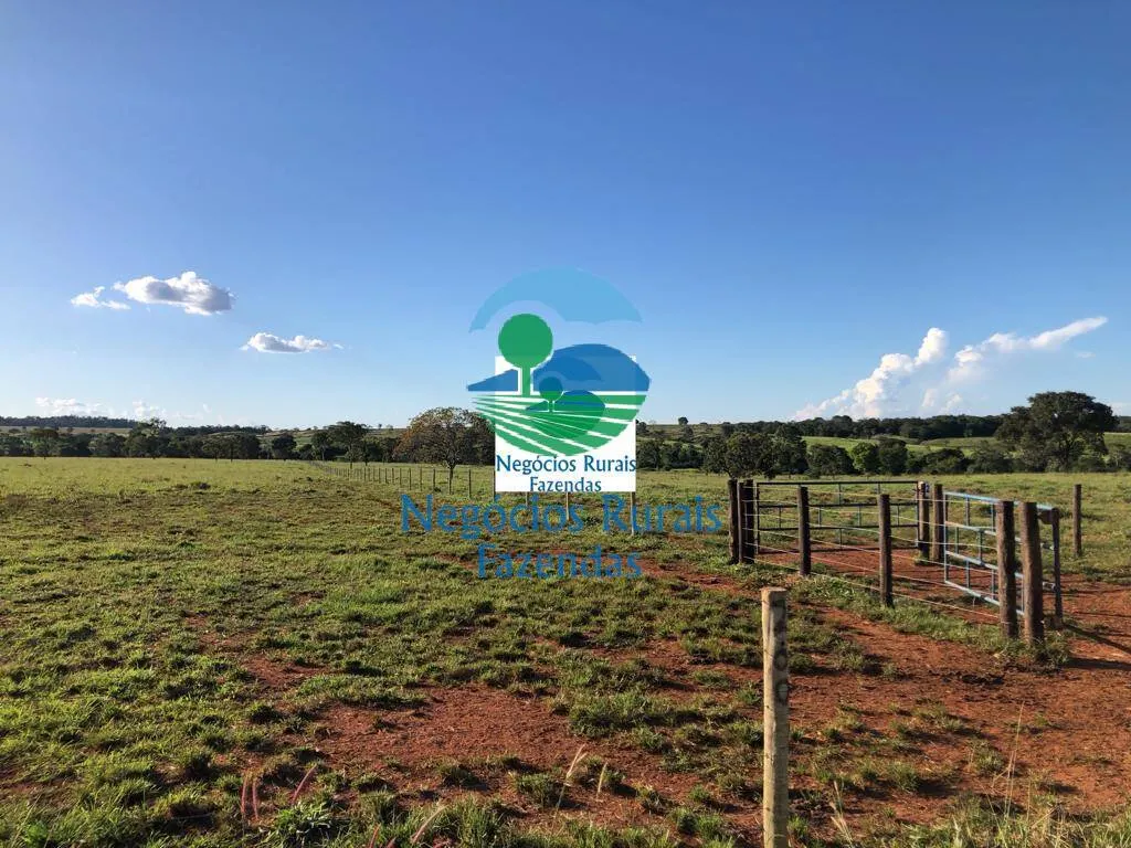 Farm for sale of 1,794 acres in Mara Rosa, GO, Brazil