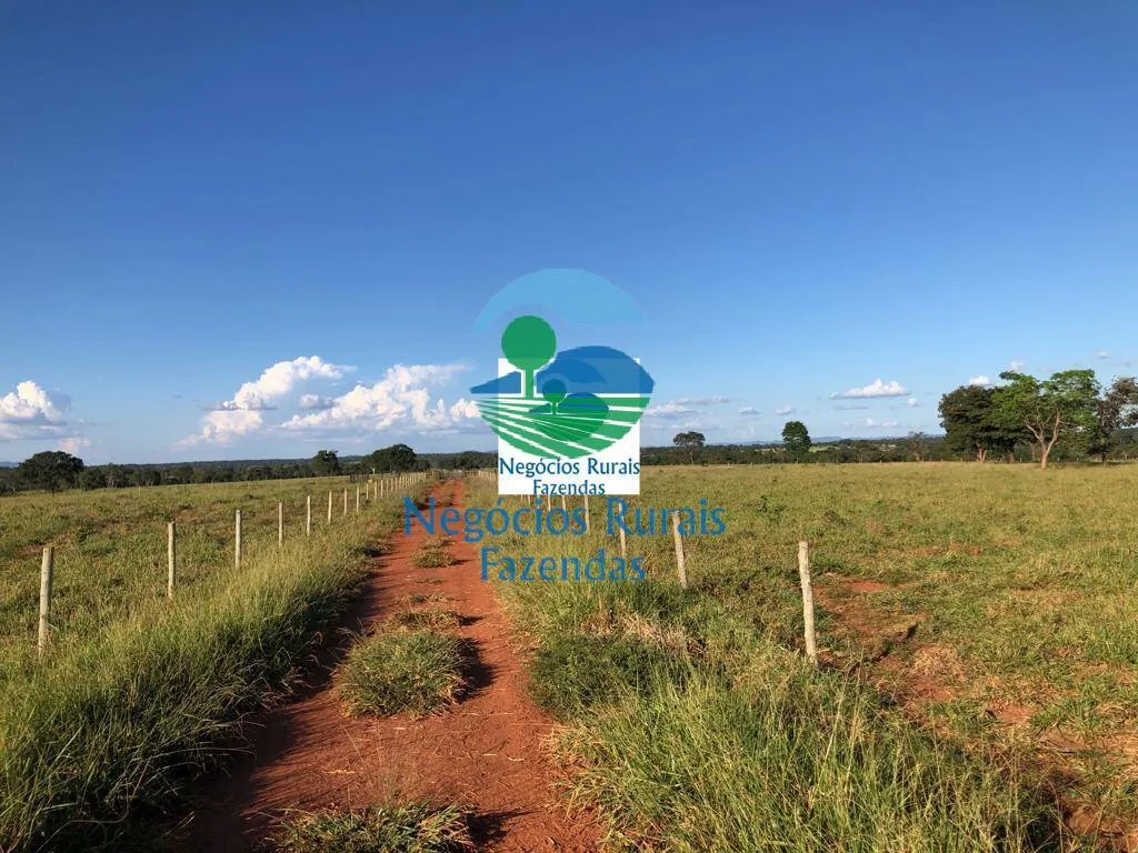 Farm for sale of 1,794 acres in Mara Rosa, GO, Brazil