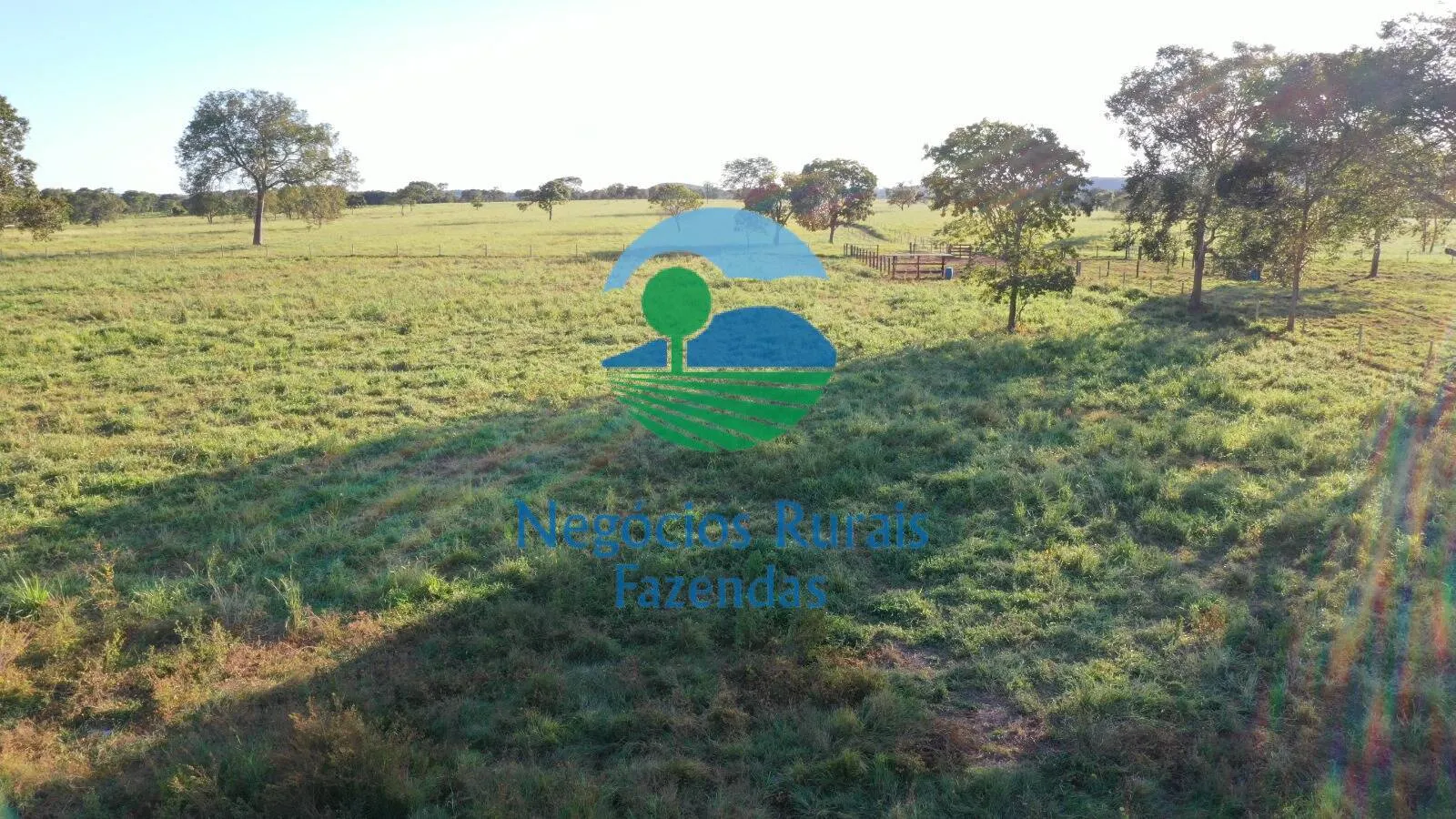 Farm for sale of 1,794 acres in Mara Rosa, GO, Brazil