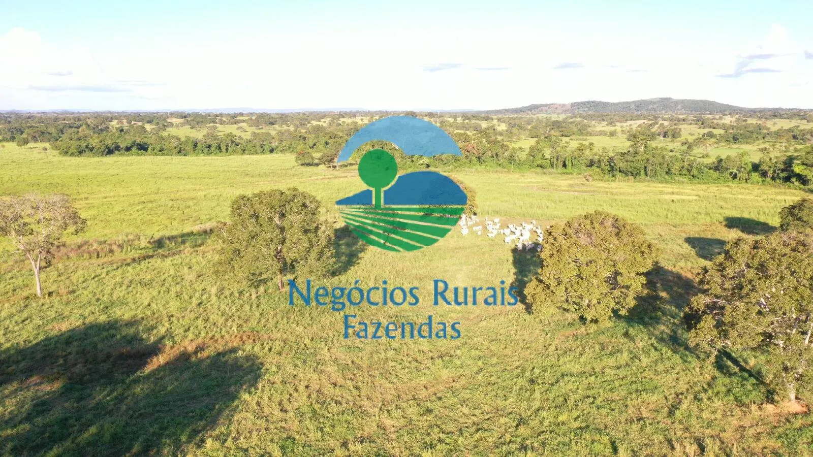 Farm for sale of 1,794 acres in Mara Rosa, GO, Brazil