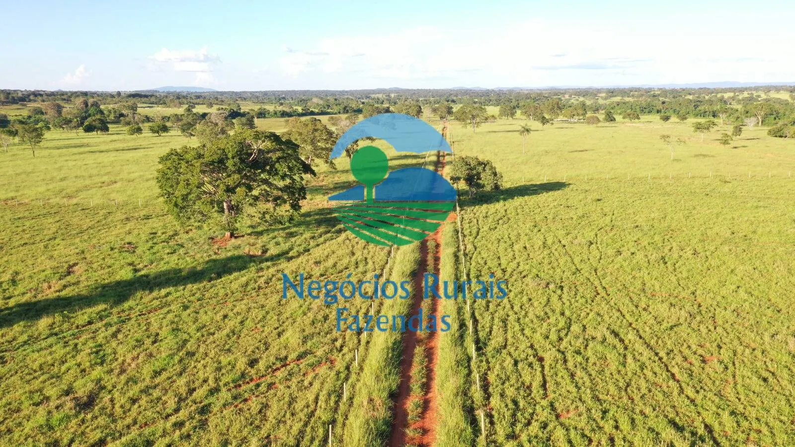 Farm for sale of 1,794 acres in Mara Rosa, GO, Brazil