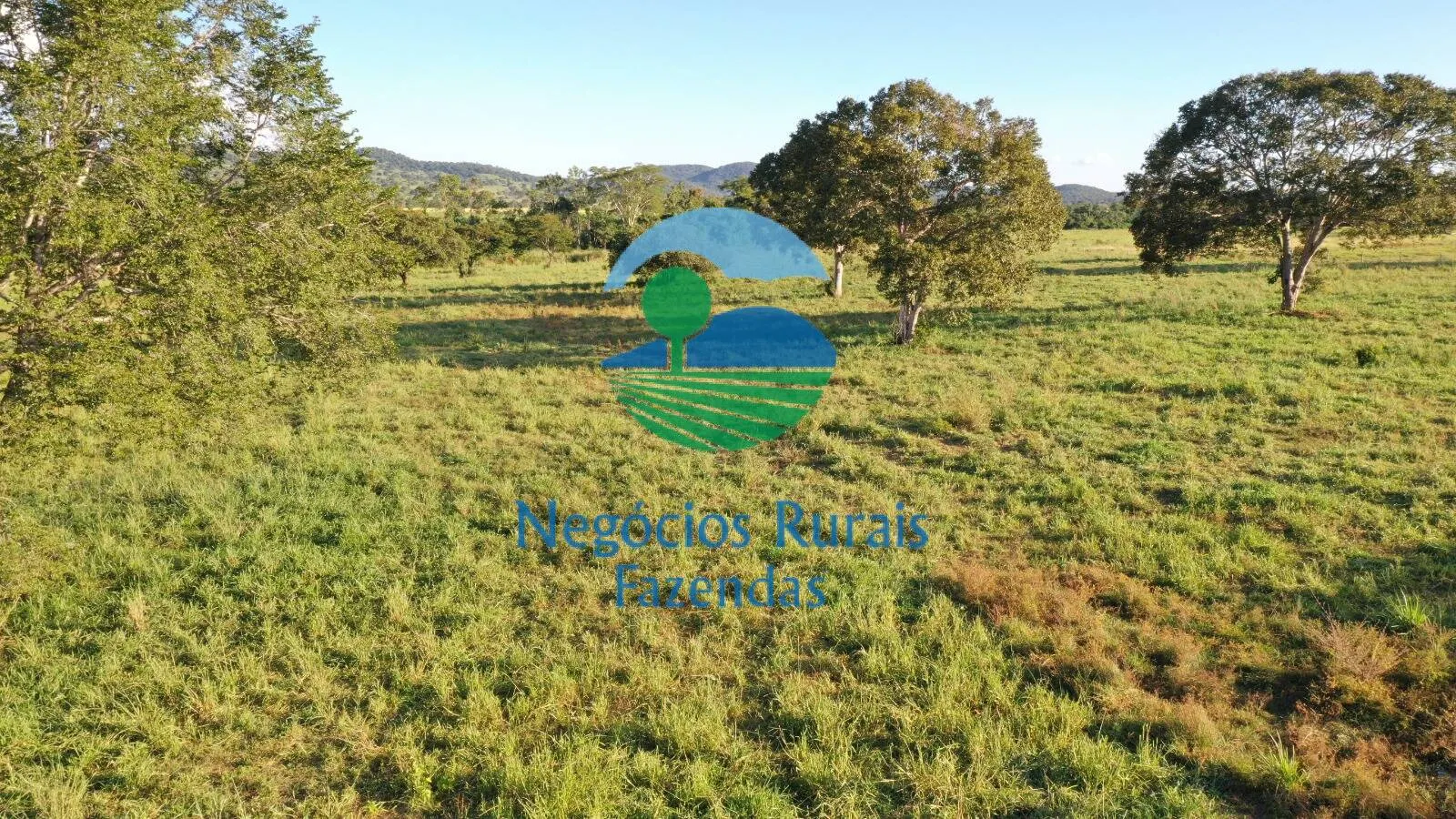 Farm for sale of 1,794 acres in Mara Rosa, GO, Brazil