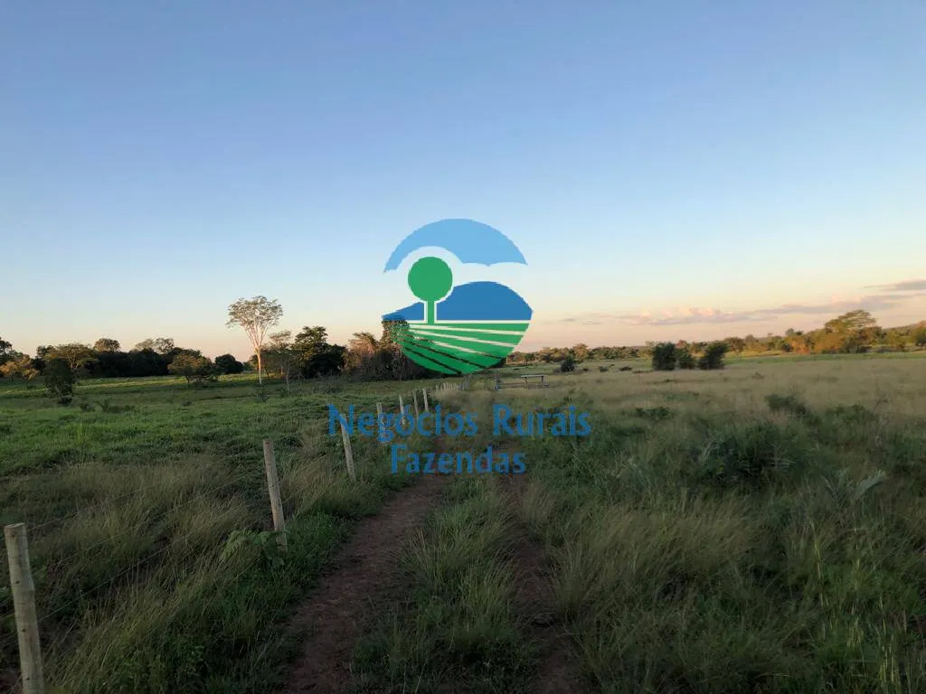 Farm for sale of 1,794 acres in Mara Rosa, GO, Brazil