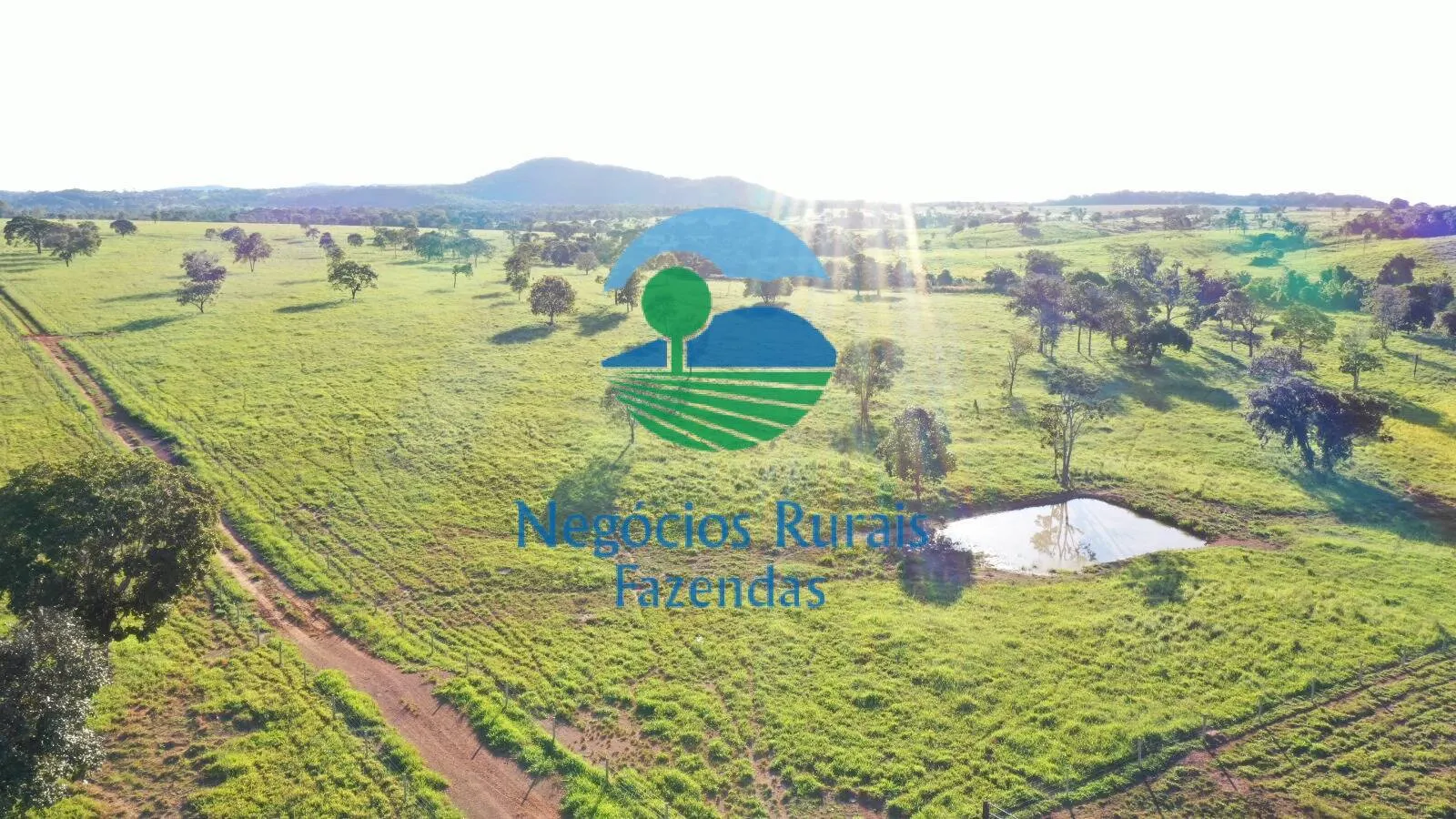 Farm for sale of 1,794 acres in Mara Rosa, GO, Brazil