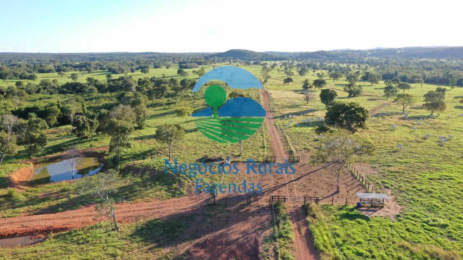 Farm for sale of 1,794 acres in Mara Rosa, GO, Brazil