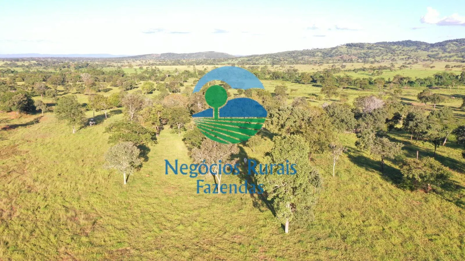 Farm for sale of 1,794 acres in Mara Rosa, GO, Brazil