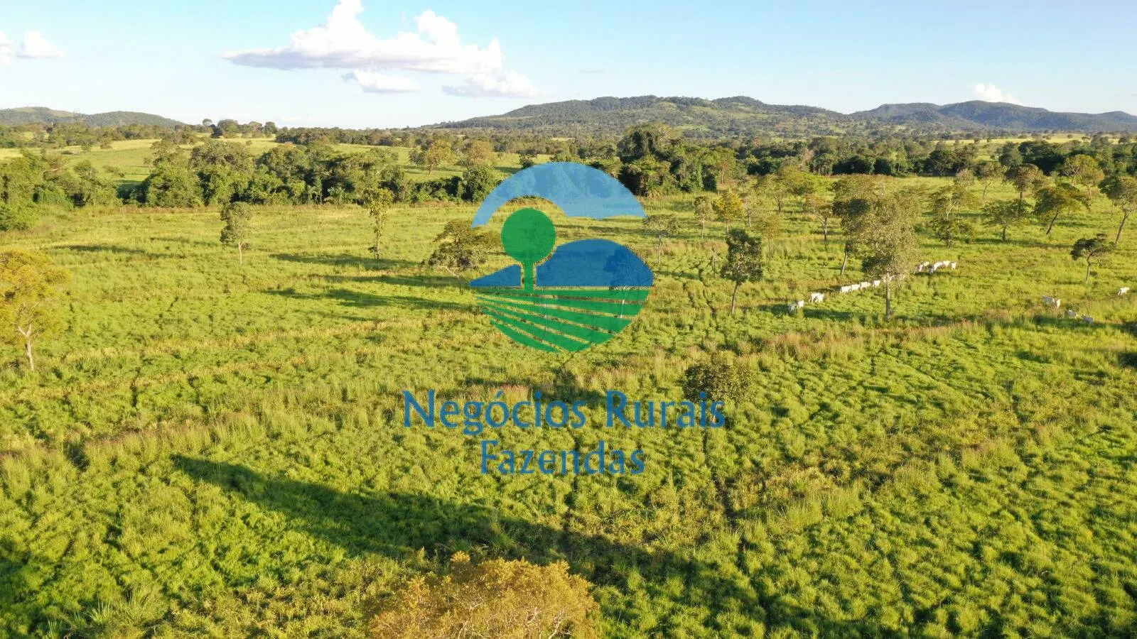Farm for sale of 1,794 acres in Mara Rosa, GO, Brazil