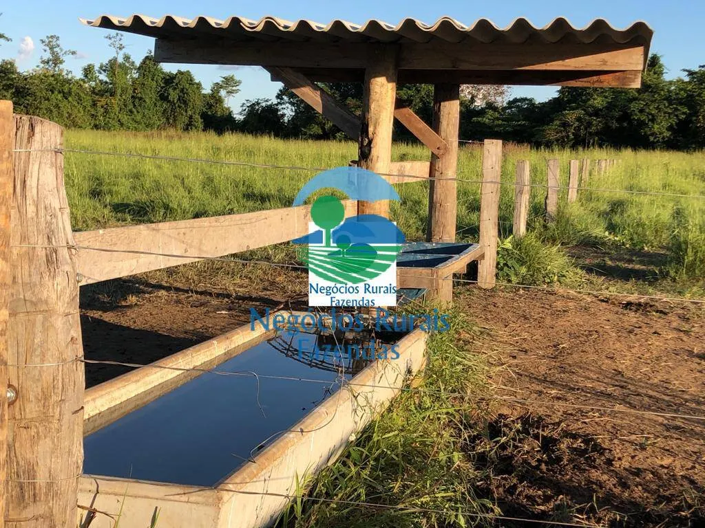 Farm for sale of 1,794 acres in Mara Rosa, GO, Brazil