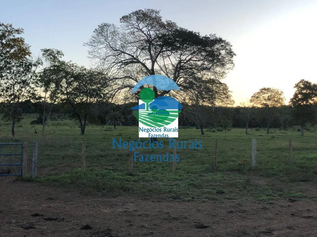 Farm for sale of 1,794 acres in Mara Rosa, GO, Brazil