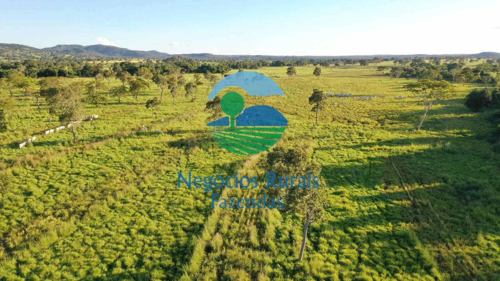 Farm for sale of 1,794 acres in Mara Rosa, GO, Brazil