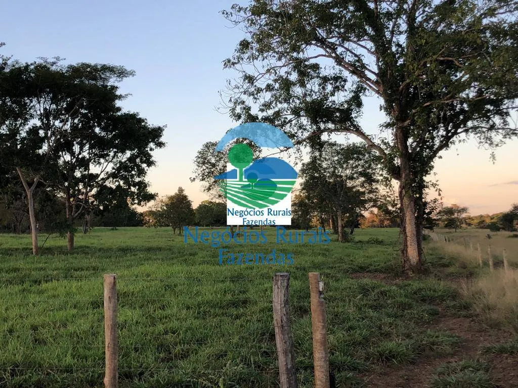 Farm for sale of 1,794 acres in Mara Rosa, GO, Brazil