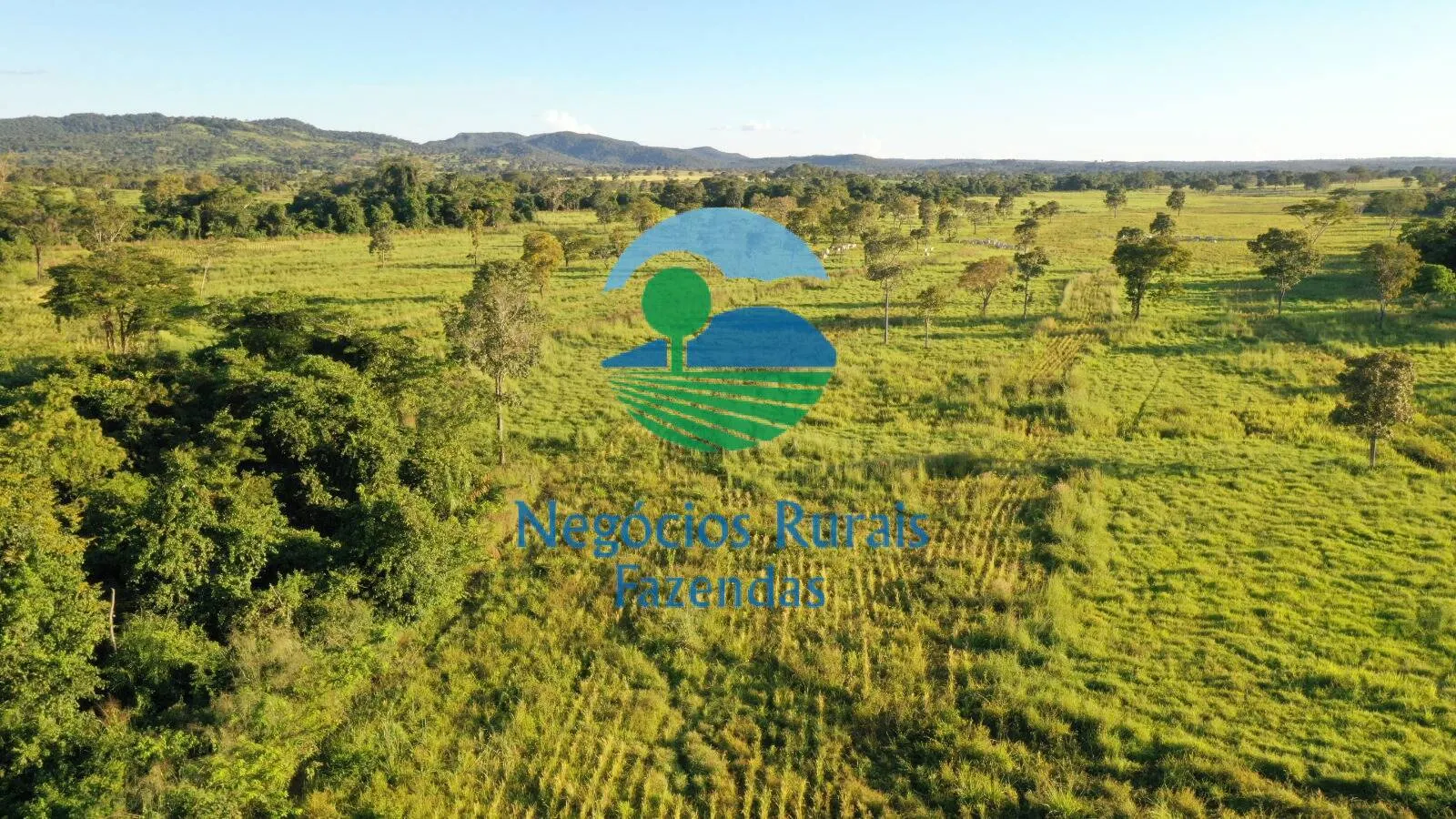 Farm for sale of 1,794 acres in Mara Rosa, GO, Brazil