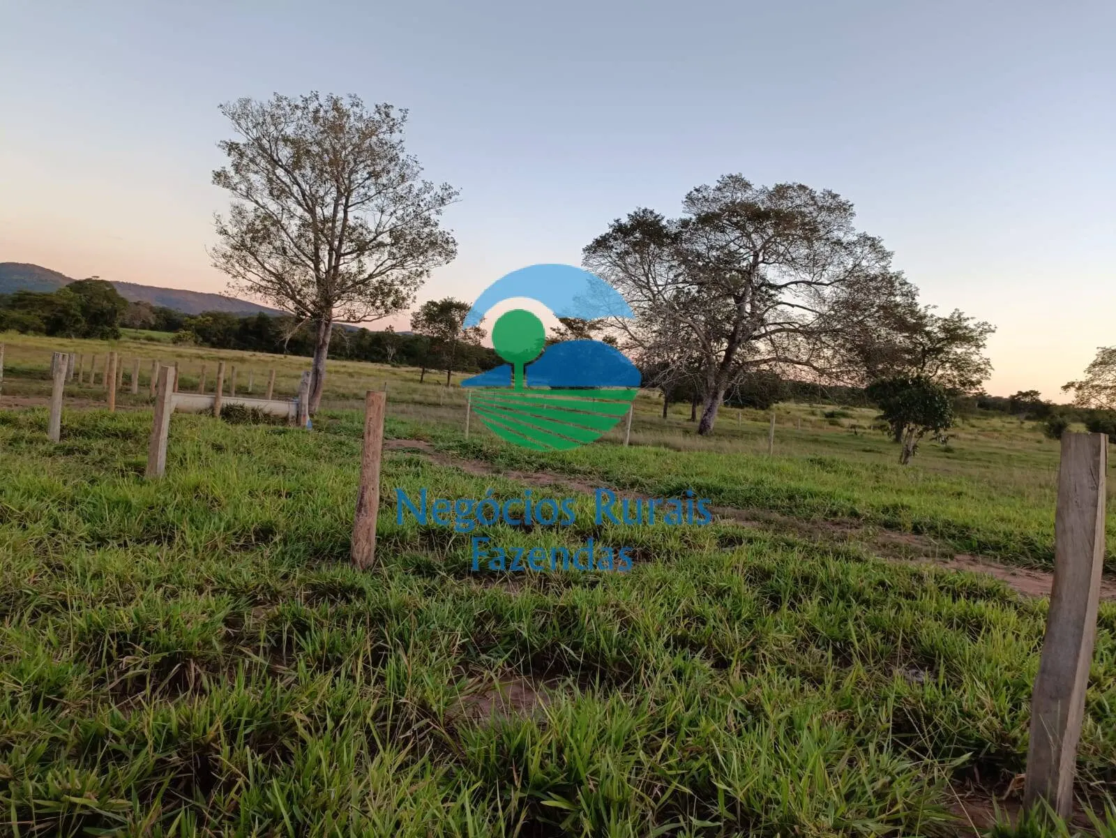 Farm for sale of 1,794 acres in Mara Rosa, GO, Brazil
