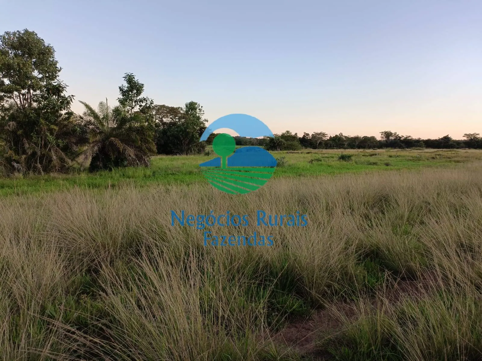 Farm for sale of 1,794 acres in Mara Rosa, GO, Brazil