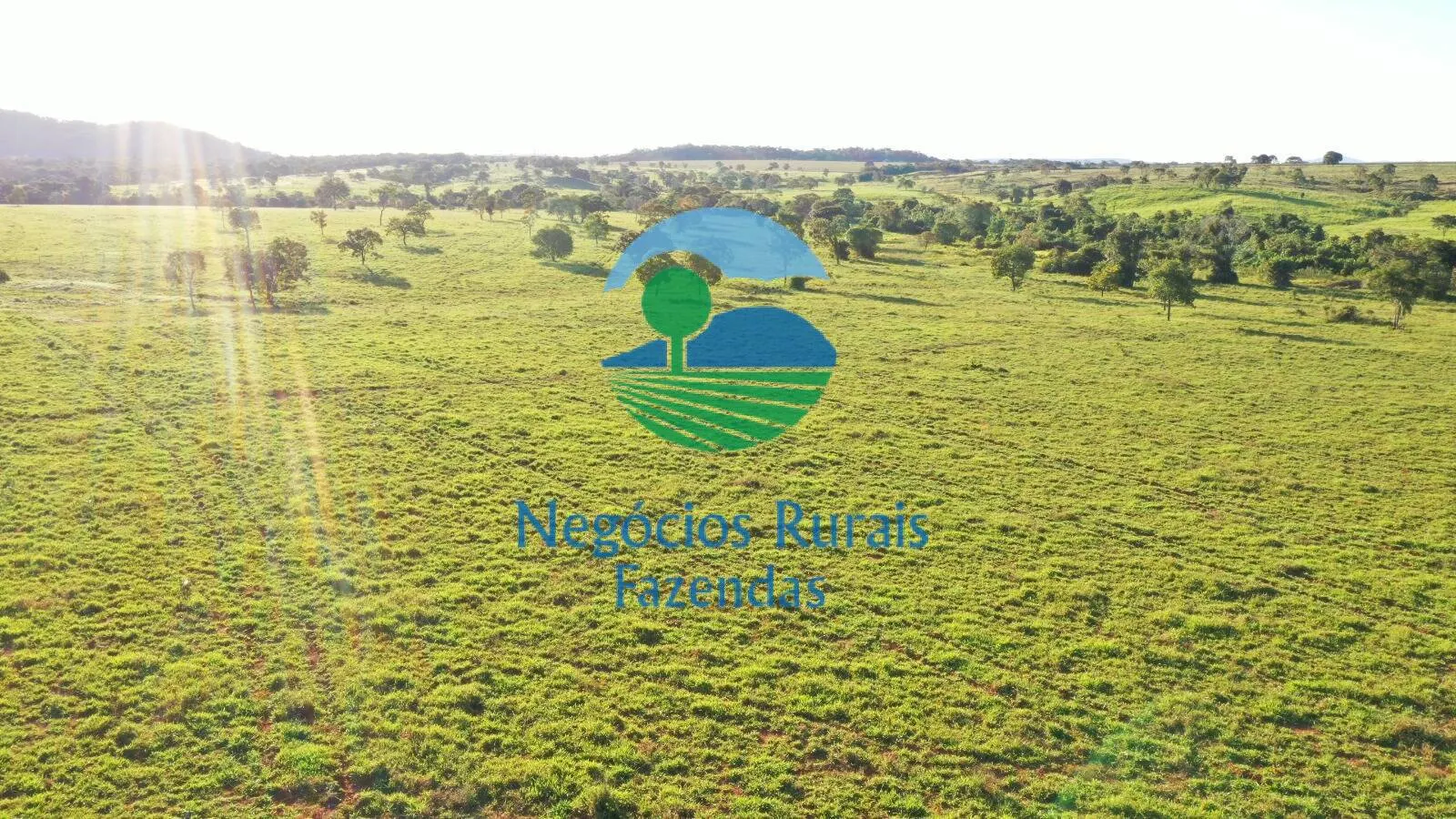 Farm for sale of 1,794 acres in Mara Rosa, GO, Brazil