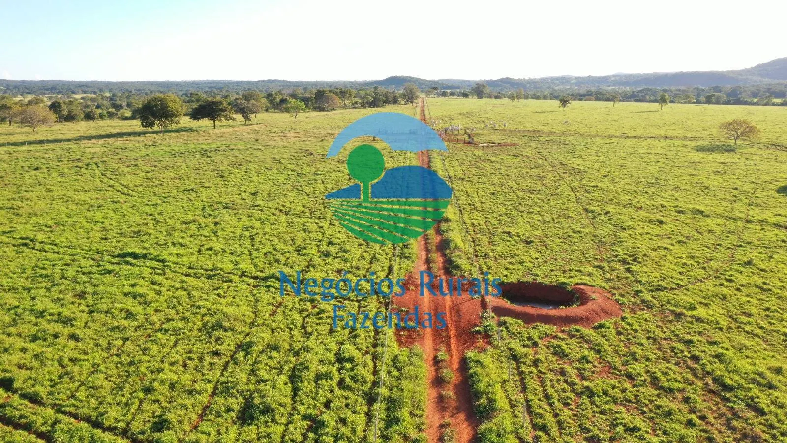 Farm for sale of 1,794 acres in Mara Rosa, GO, Brazil