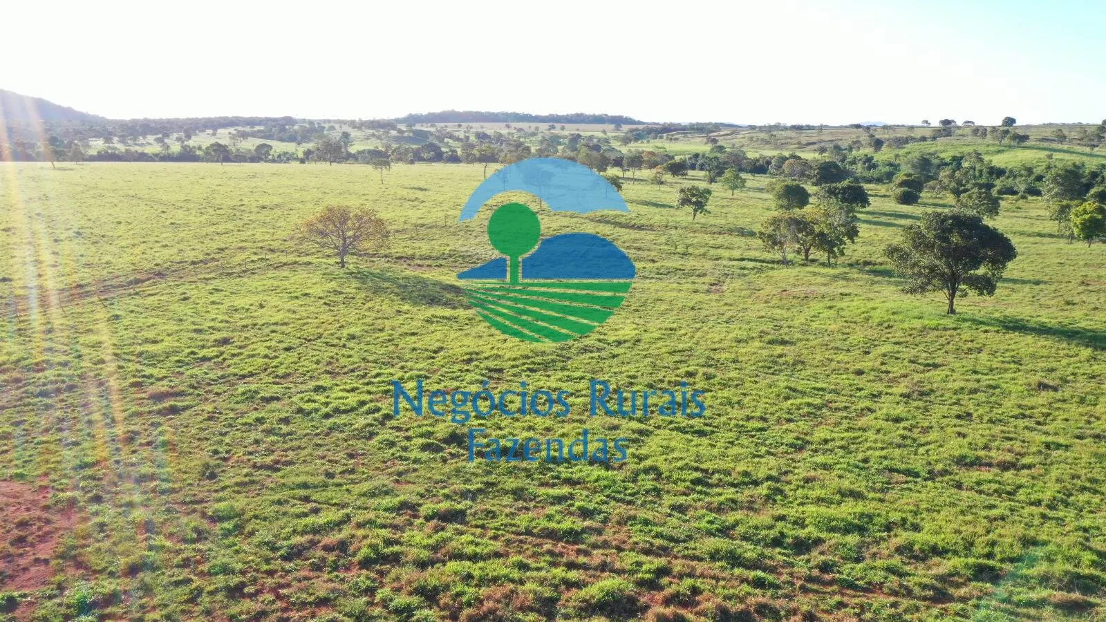 Farm for sale of 1,794 acres in Mara Rosa, GO, Brazil