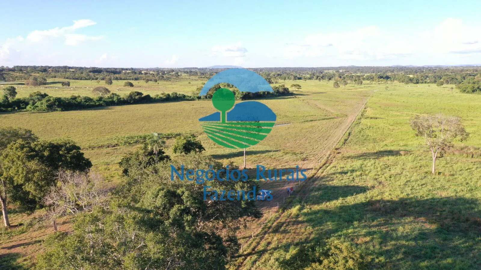 Farm for sale of 1,794 acres in Mara Rosa, GO, Brazil