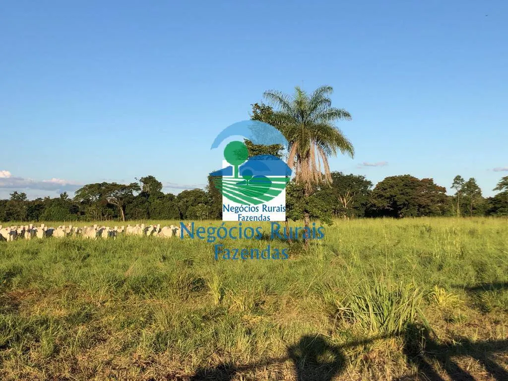 Farm for sale of 1,794 acres in Mara Rosa, GO, Brazil