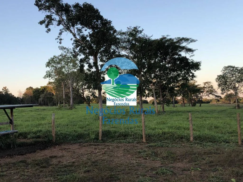 Farm for sale of 1,794 acres in Mara Rosa, GO, Brazil