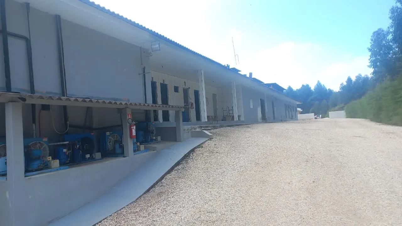 Comercial à venda de 5 ha em São João do Triunfo, PR, Brasil