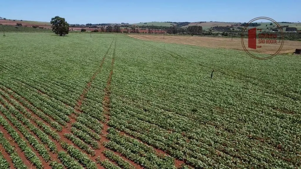 Fazenda à venda de 121 ha em Itaí, SP, Brasil