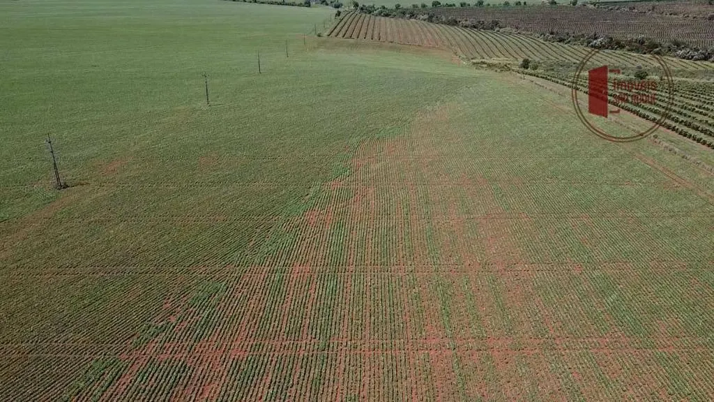 Fazenda à venda de 121 ha em Itaí, SP, Brasil