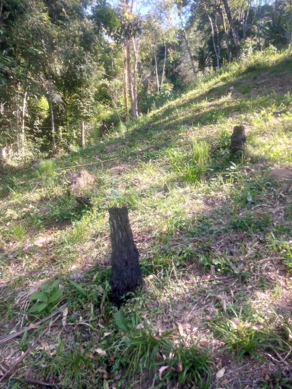 Terreno à venda de 8.880 m² em Guabiruba, SC, Brasil