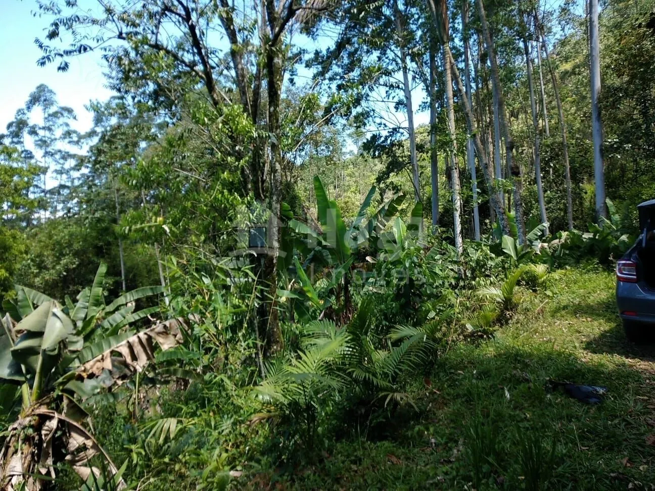 Terreno à venda de 8.880 m² em Guabiruba, SC, Brasil