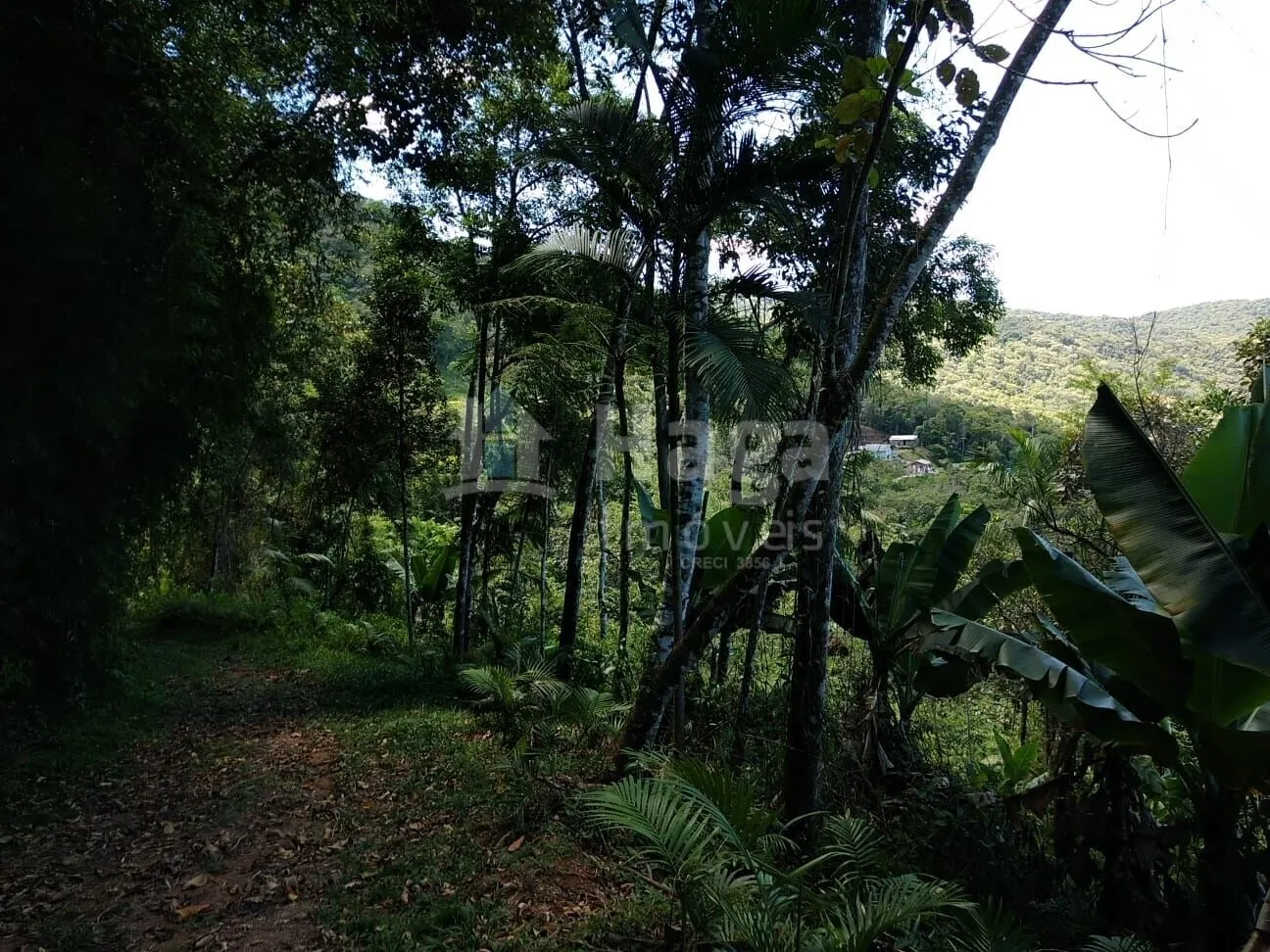 Terreno à venda de 8.880 m² em Guabiruba, SC, Brasil