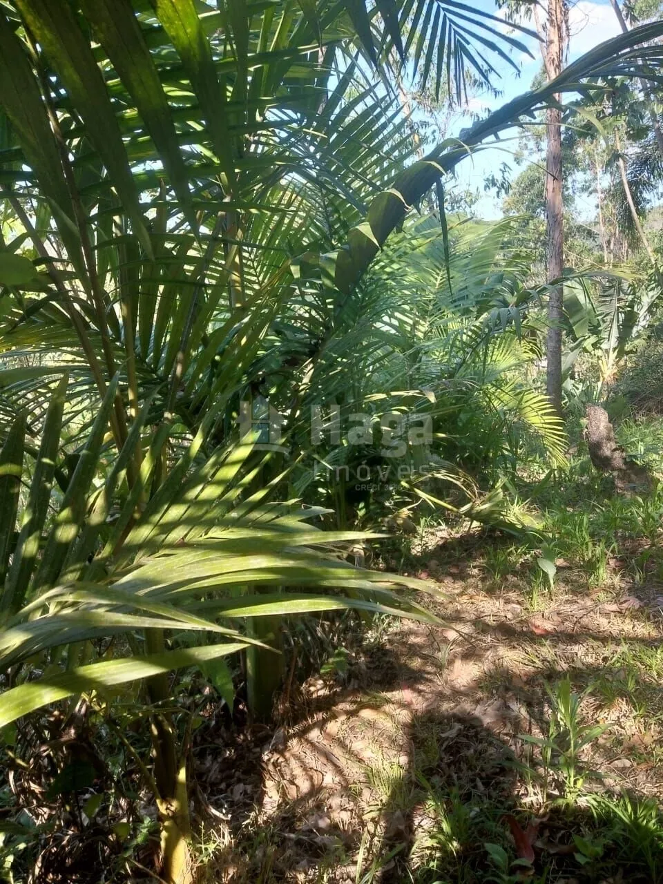Terreno à venda de 8.880 m² em Guabiruba, SC, Brasil