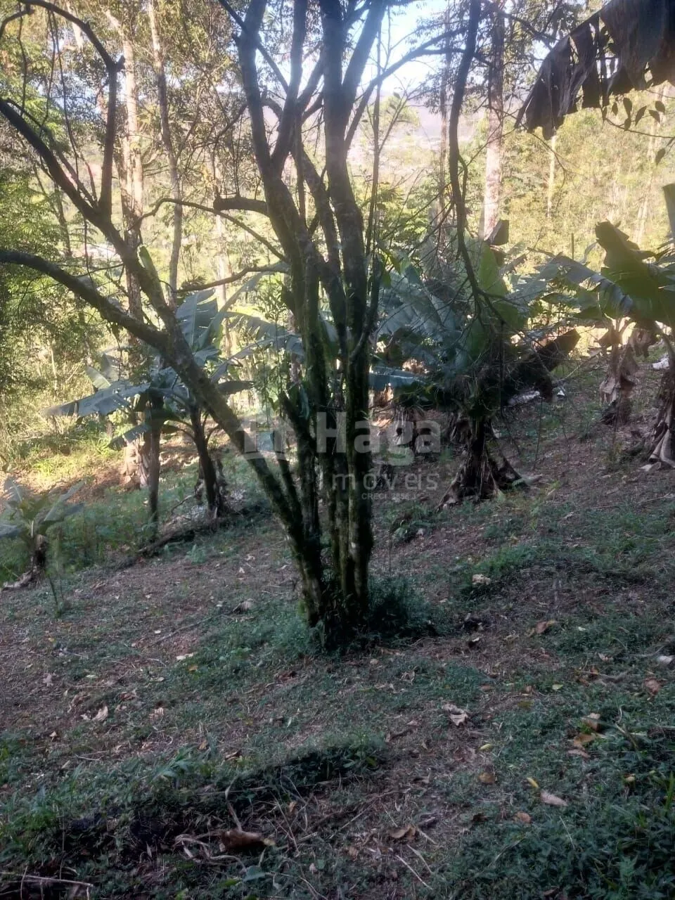Terreno à venda de 8.880 m² em Guabiruba, SC, Brasil