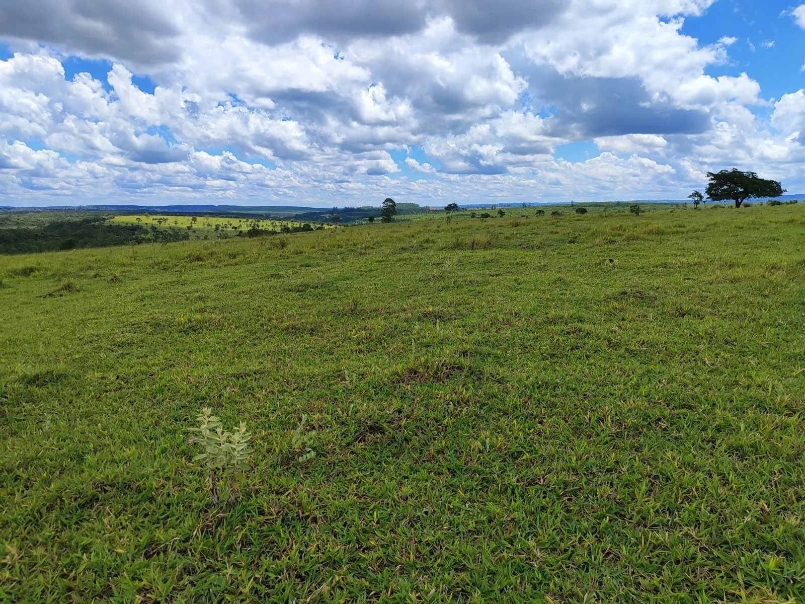 Fazenda à venda de 711 ha em Botucatu, SP, Brasil