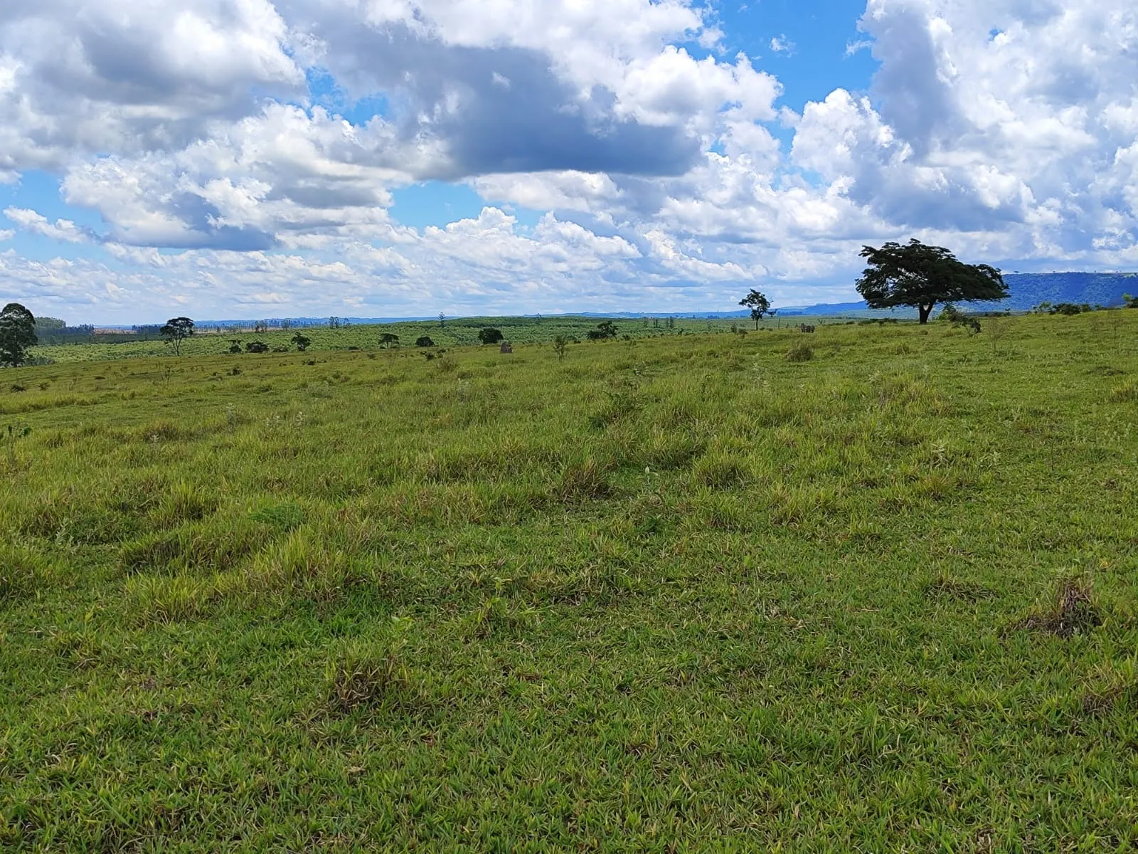 Fazenda à venda de 711 ha em Botucatu, SP, Brasil