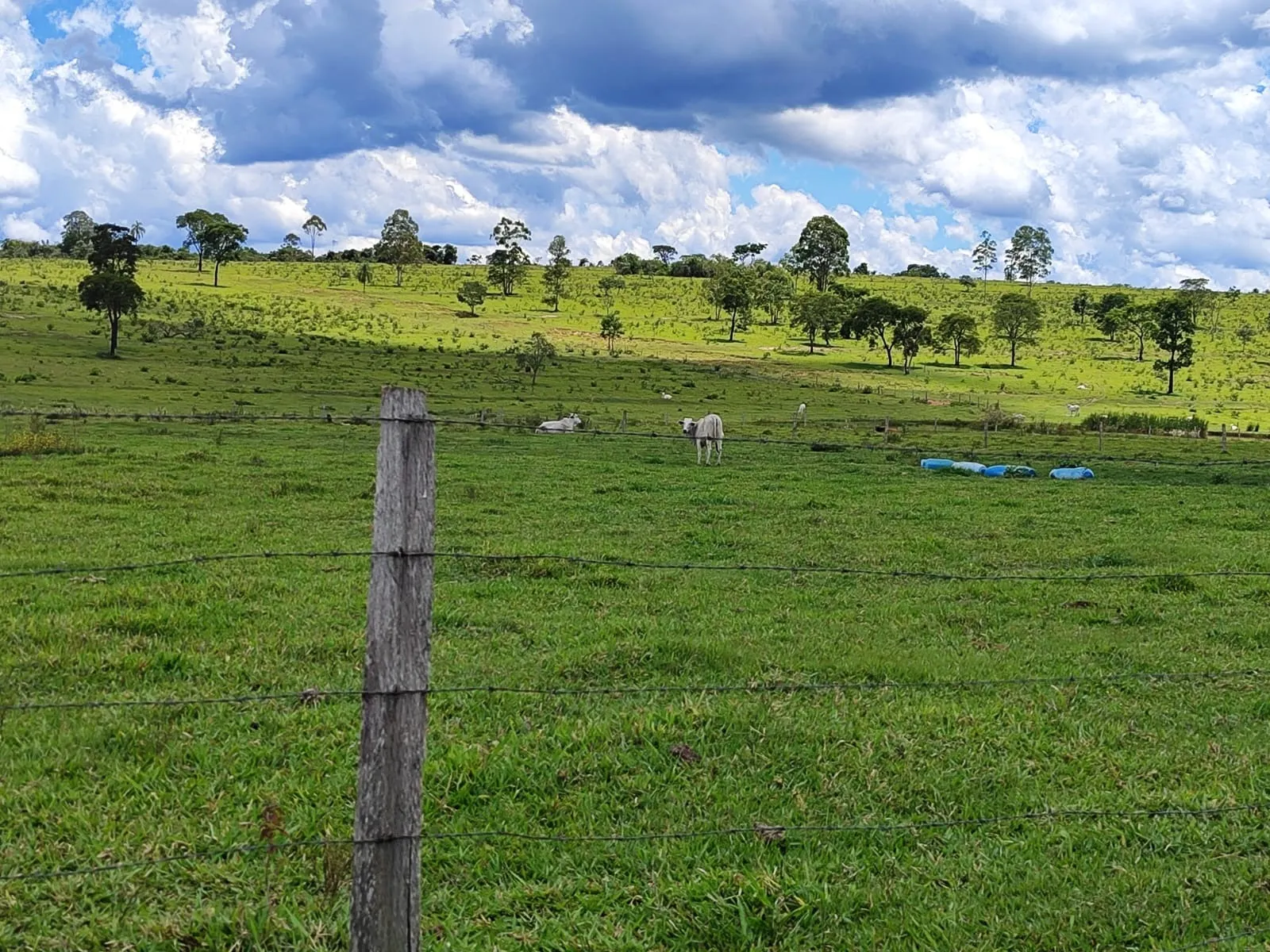Fazenda à venda de 711 ha em Botucatu, SP, Brasil