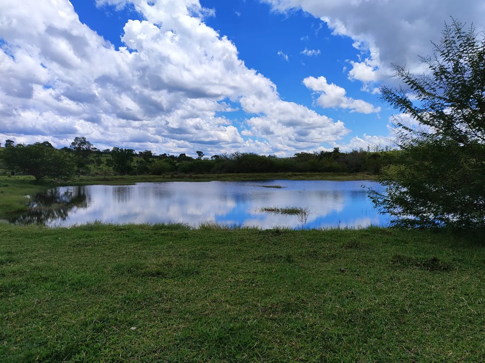 Fazenda à venda de 711 ha em Botucatu, SP, Brasil
