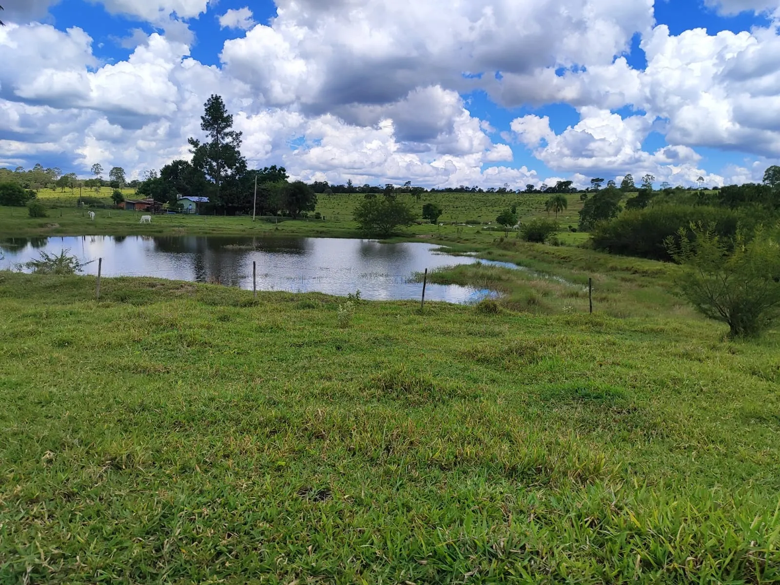 Fazenda à venda de 711 ha em Botucatu, SP, Brasil
