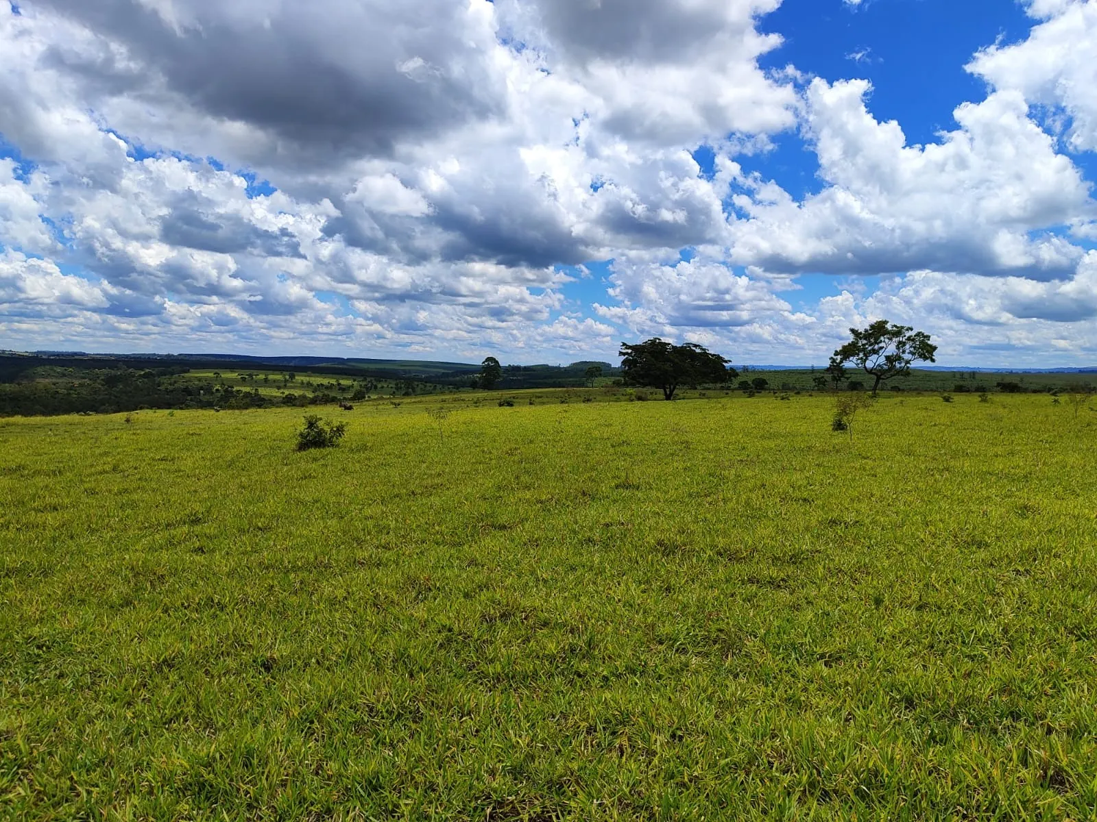 Fazenda à venda de 711 ha em Botucatu, SP, Brasil