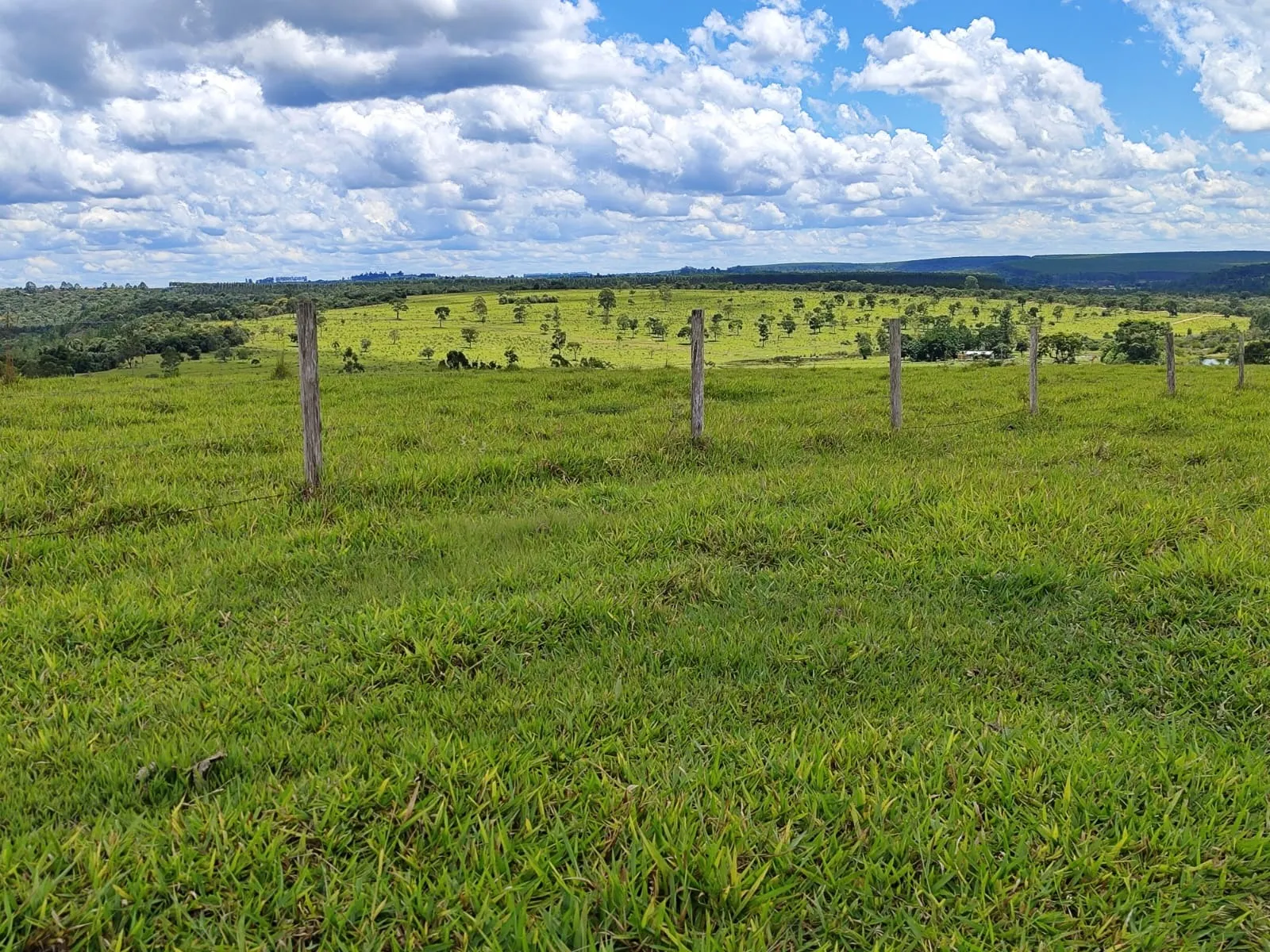 Fazenda à venda de 711 ha em Botucatu, SP, Brasil