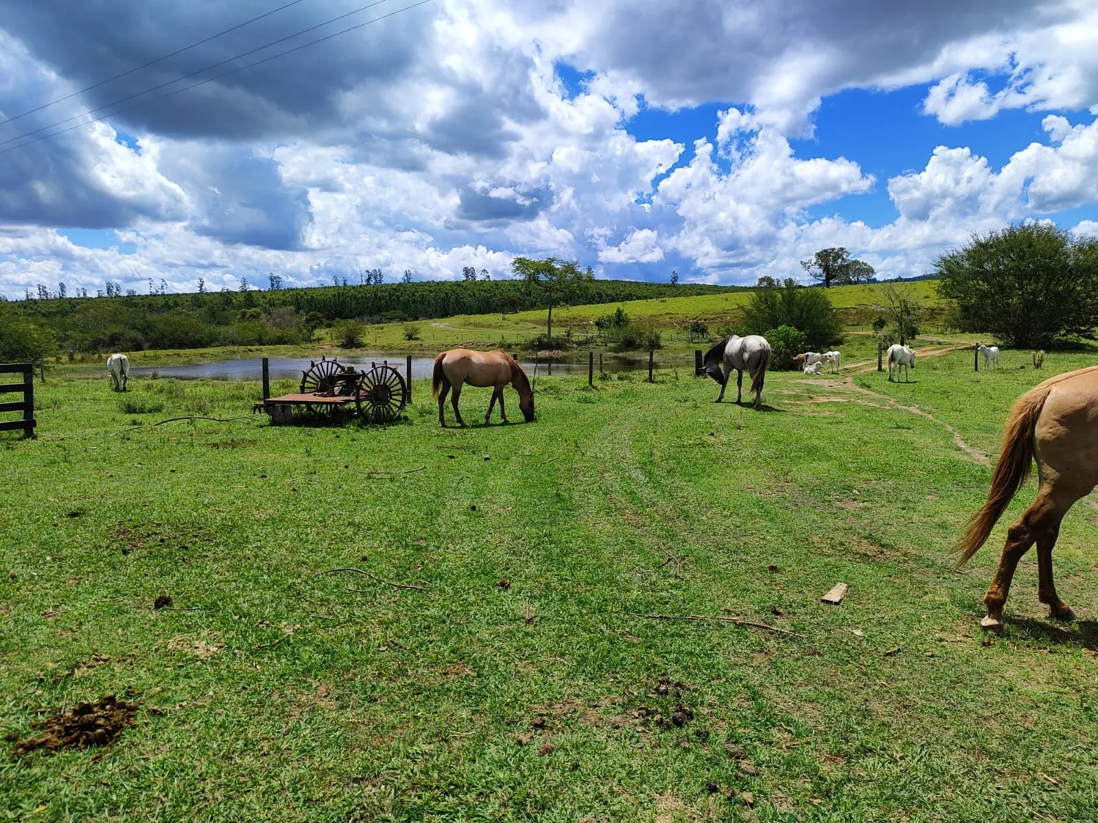 Fazenda à venda de 711 ha em Botucatu, SP, Brasil