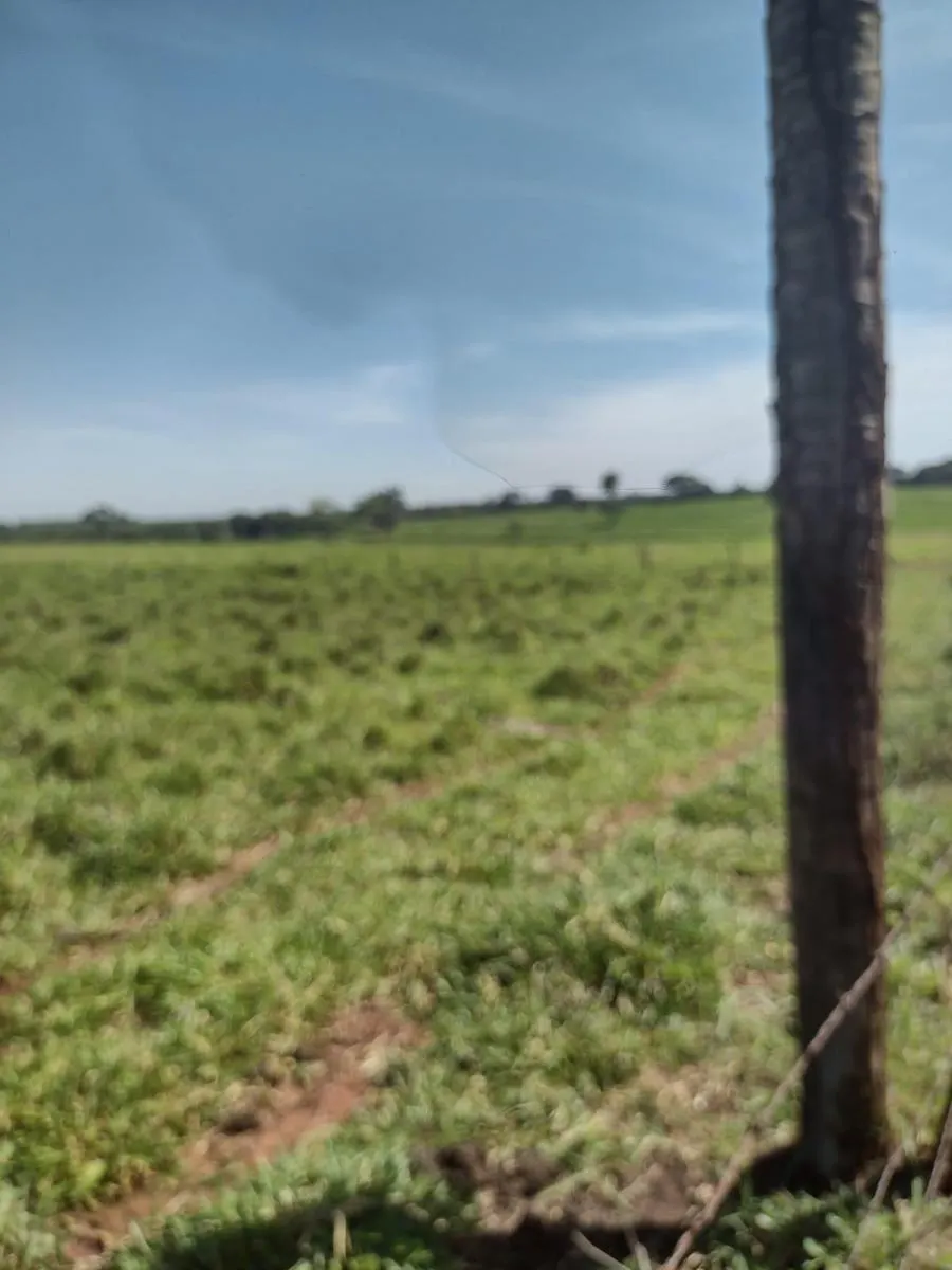 Fazenda à venda de 52 ha em Dolcinópolis, SP, Brasil
