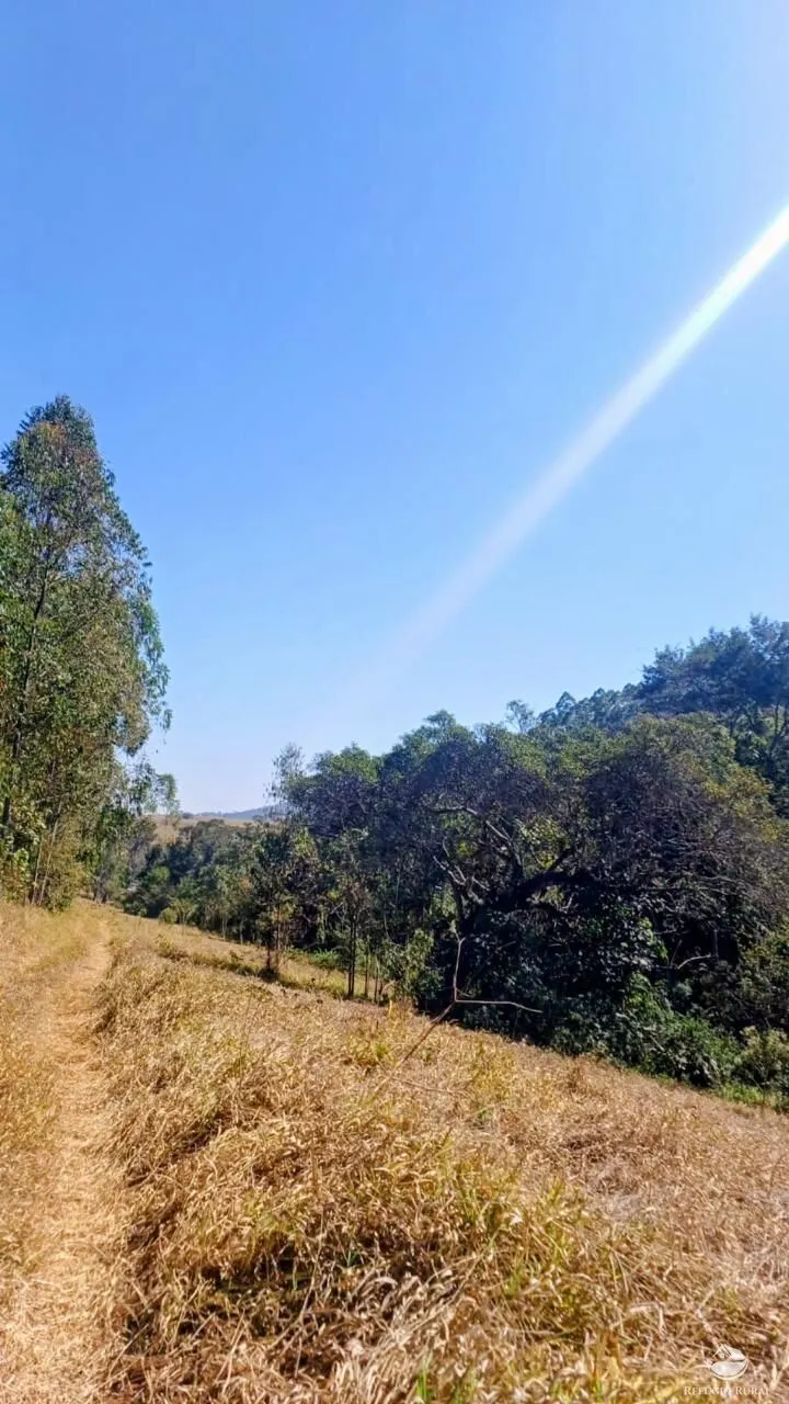Sítio à venda de 27 ha em Paraisópolis, MG, Brasil