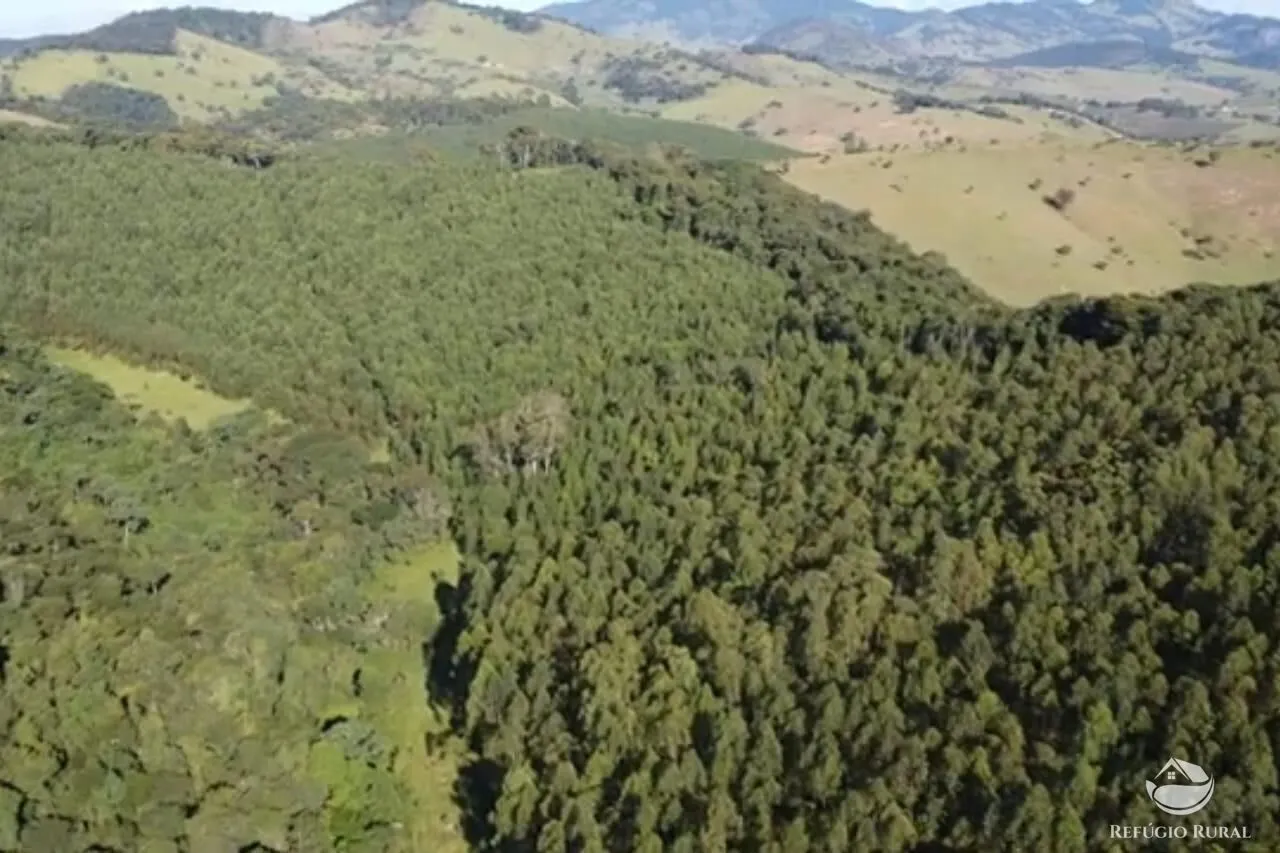 Sítio à venda de 27 ha em Paraisópolis, MG, Brasil