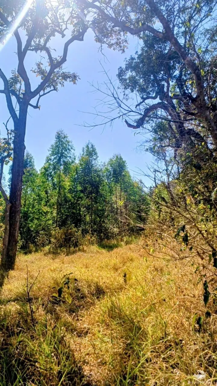 Sítio à venda de 27 ha em Paraisópolis, MG, Brasil