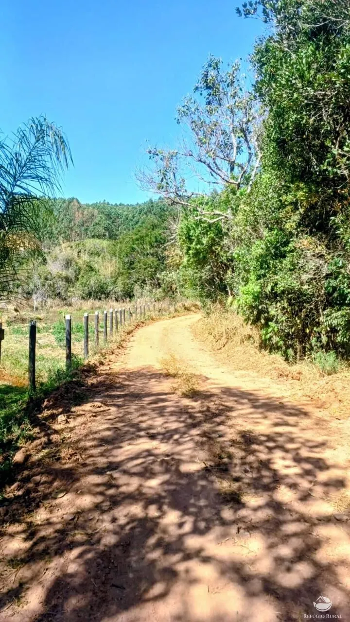 Sítio à venda de 27 ha em Paraisópolis, MG, Brasil