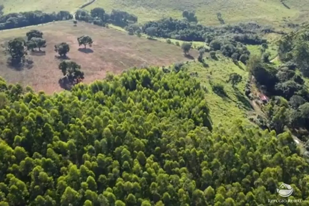 Sítio à venda de 27 ha em Paraisópolis, MG, Brasil